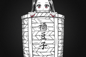 Nezuko in the basket