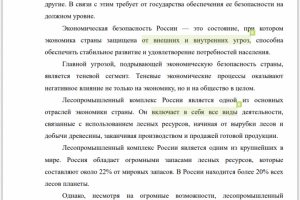 Выпускная квалификационная работа