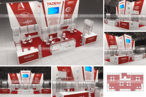 Тадем_MIMS-2024. построен