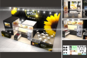 Маккейн_ПИР-2012