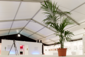 Выездной музей каллиграфии в Великом Новгороде, 2010