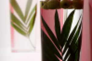 Выездной музей каллиграфии в Великом Новгороде, 2010