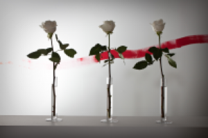 Выездной музей каллиграфии в Великом Новгороде, 2010