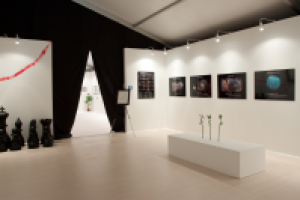 Выездной музей каллиграфии в Великом Новгороде, 2010