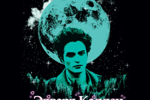 Принт по вселенной "Сумерки"