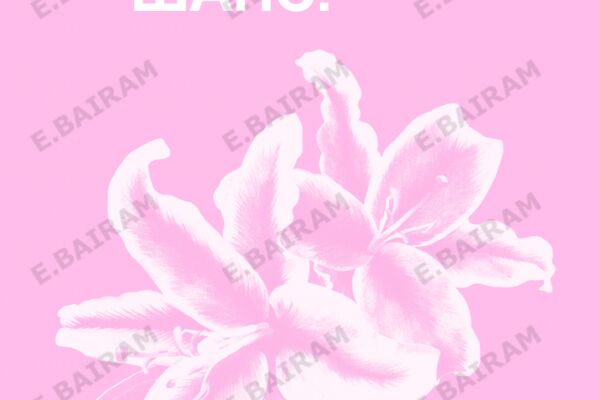img4653613.png
