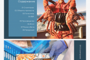 Разработка презентации для ООО Монерон