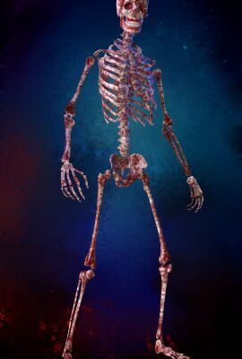 img4257715.png