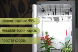 Карточка для маркетплейса Гроубокс