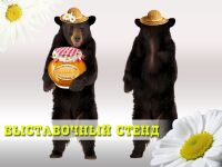 img1546531.png