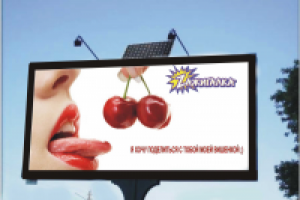 Работа 1175048