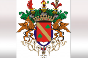 Работа 1737312