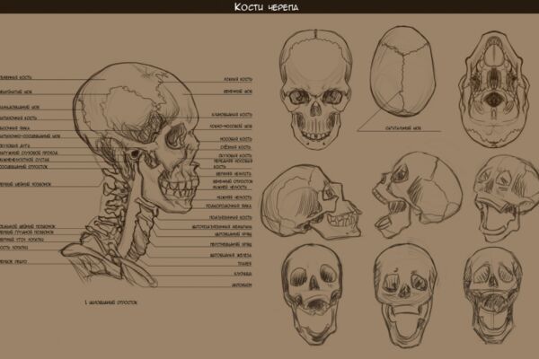 img4554052.png