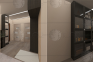 Прихожая-Холл