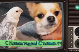 С новым годом!