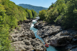 Пейсаш горный