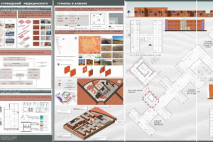 ВКР На тему: учреждений  медицинского туризма в Алжире
