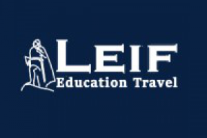 Верстка сайта Leif и посадка на Wordpress