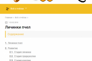 Личинки пчел