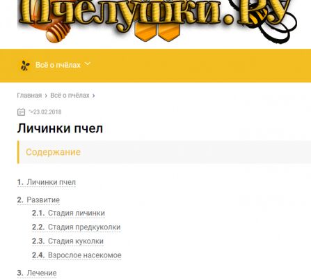 img3371150.png