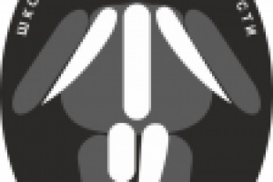 Работа 2204485