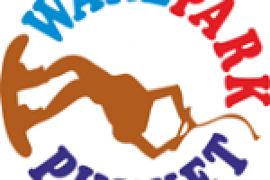 Работа 1079550