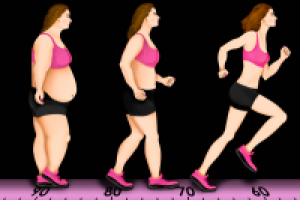 Работа 2204497