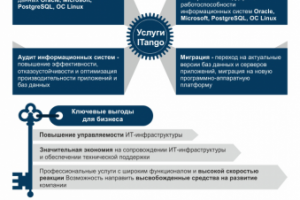 Работа 3250237