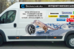 Работа 2204385