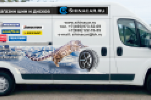 Работа 2204384