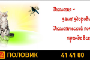 Работа 1162106