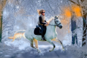 Работа 2790541