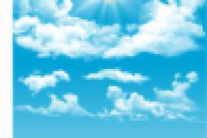 Работа 2204567