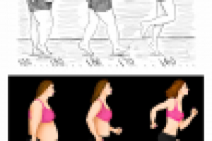 Эволюция снижения веса