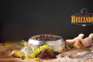 Корма для собак