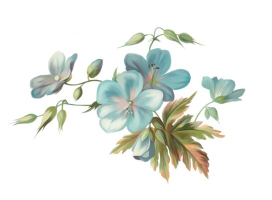img4226325.png