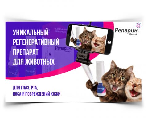 img3885802.png
