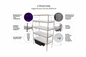Структура гидропонных систем