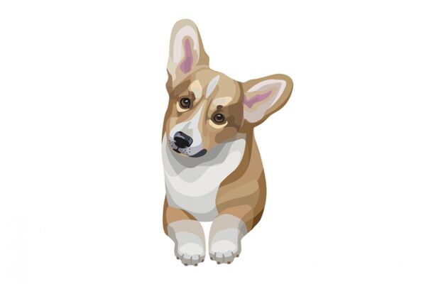 img4231619.png