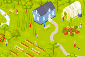 Изометрия: сад-огород