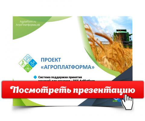 img3905110.png