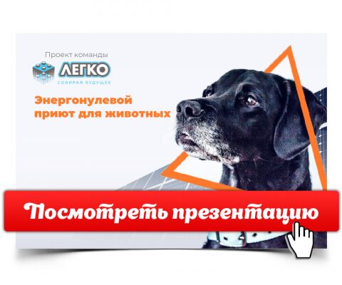 img3905149.png
