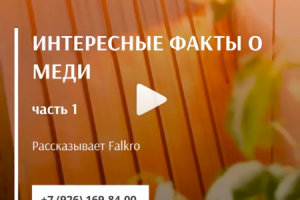 Текст для видео