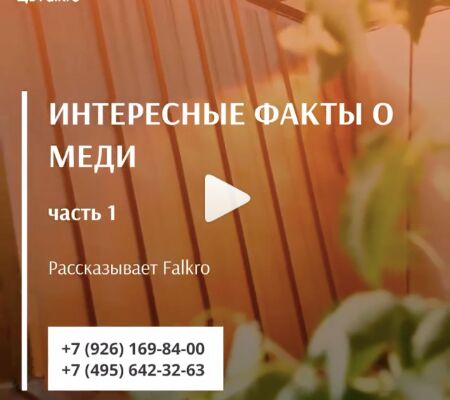 img3953950.png