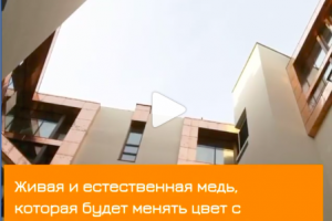 Текст для видео