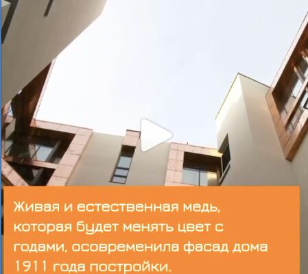 img3953948.png