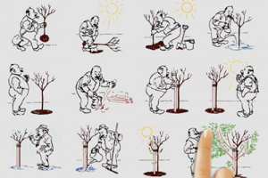 Анимированный баннер «Дудл видео».