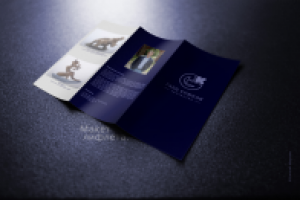 Дизайн и вёрстка лифлета