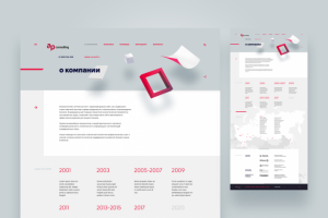 AP Consulting История компании