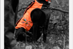 Работа 4450323